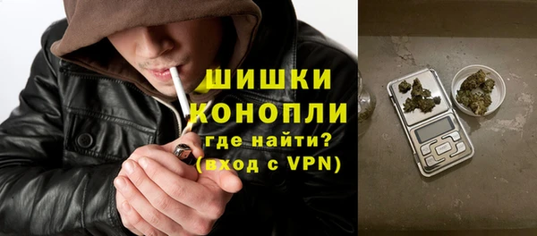 амф Верея