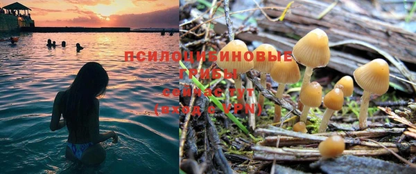 герыч Бугульма