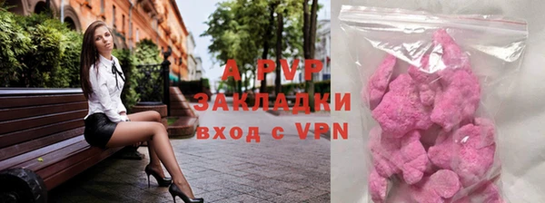 амф Верея